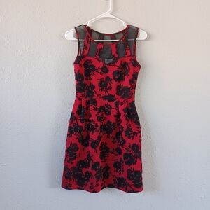 Sweet Storm Red and Black Velvet Floral Mesh Dress
